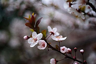 黒五促销：亚马逊英国Xbox Series S主机直降60英镑